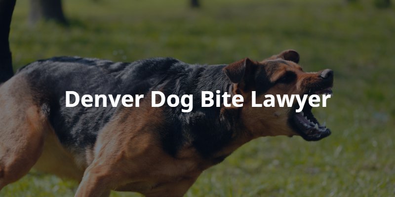 Denver dog bite attorney